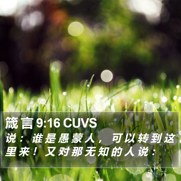 箴 言 9:16 CUVS Bible Study