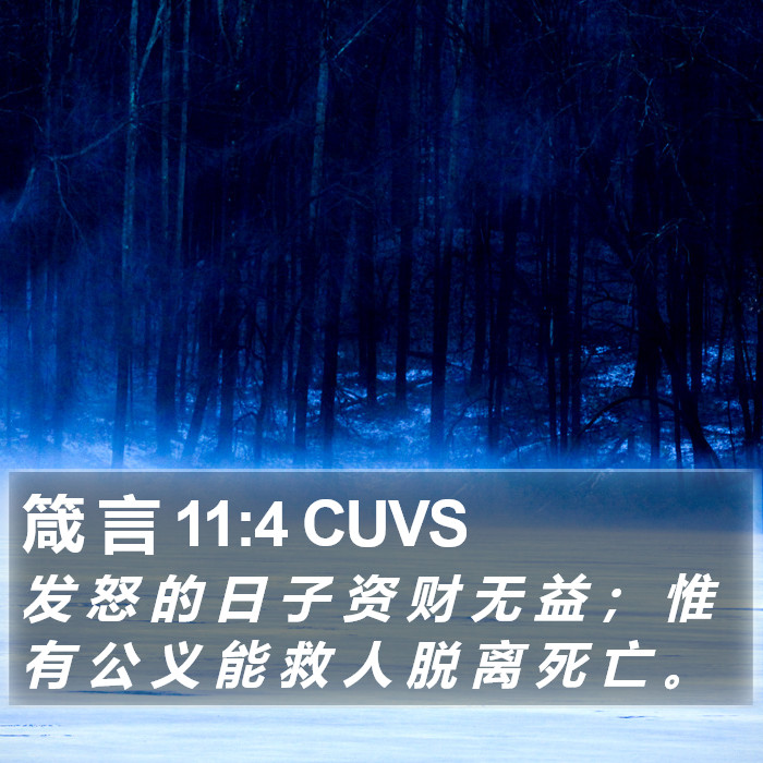 箴 言 11:4 CUVS Bible Study