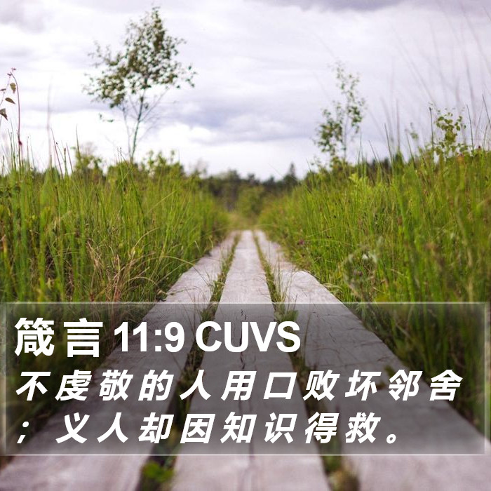 箴 言 11:9 CUVS Bible Study