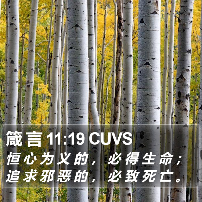 箴 言 11:19 CUVS Bible Study