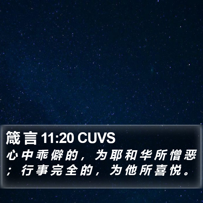 箴 言 11:20 CUVS Bible Study