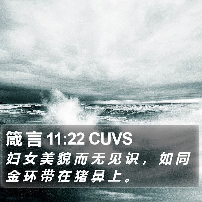 箴 言 11:22 CUVS Bible Study