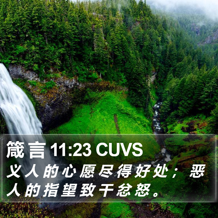 箴 言 11:23 CUVS Bible Study