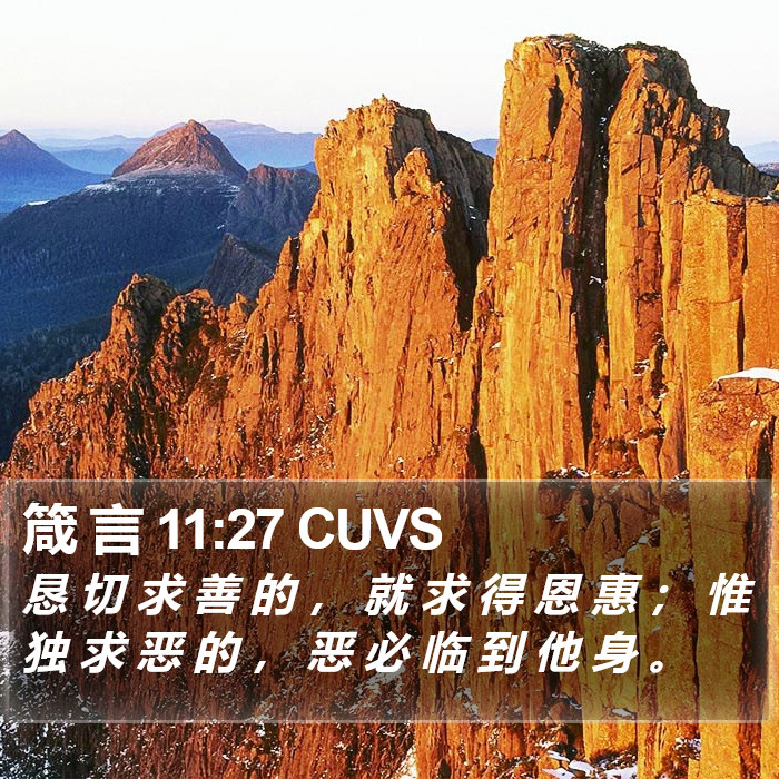 箴 言 11:27 CUVS Bible Study