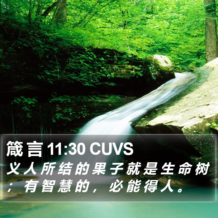 箴 言 11:30 CUVS Bible Study
