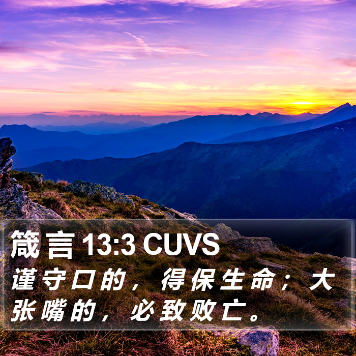 箴 言 13:3 CUVS Bible Study