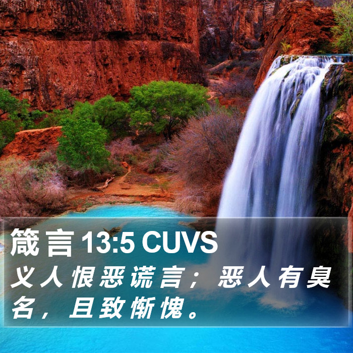 箴 言 13:5 CUVS Bible Study
