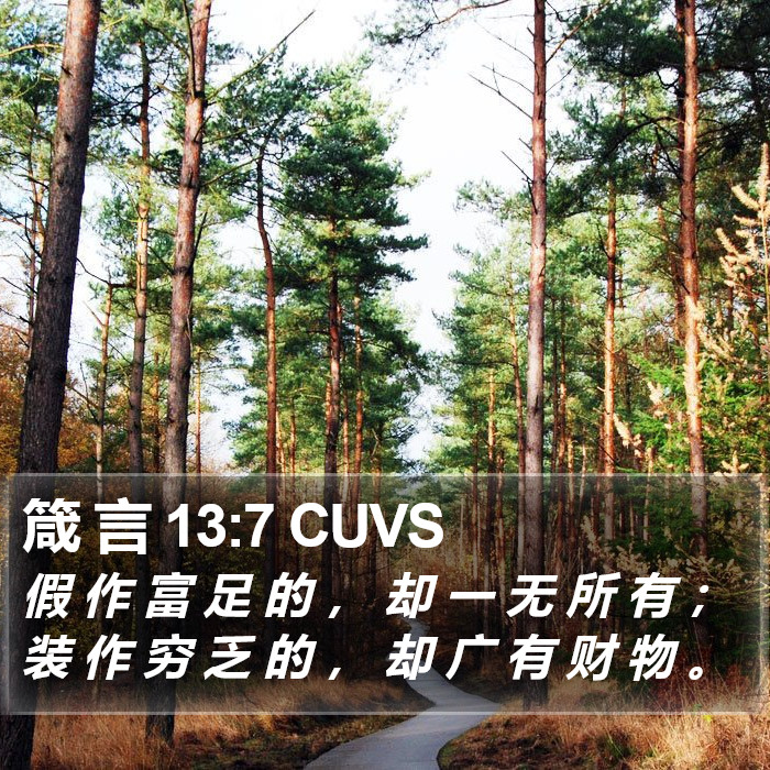 箴 言 13:7 CUVS Bible Study
