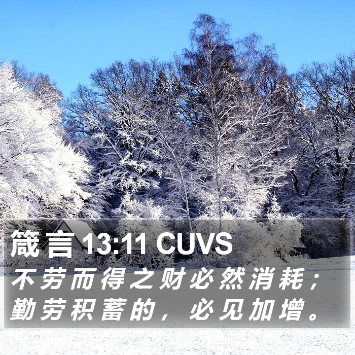 箴 言 13:11 CUVS Bible Study
