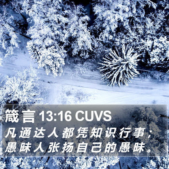 箴 言 13:16 CUVS Bible Study