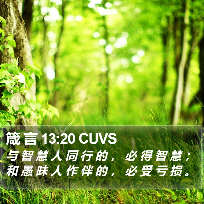 箴 言 13:20 CUVS Bible Study