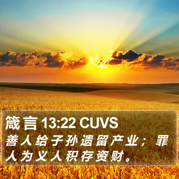 箴 言 13:22 CUVS Bible Study