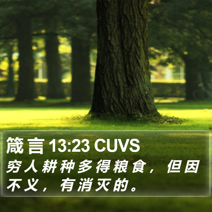 箴 言 13:23 CUVS Bible Study