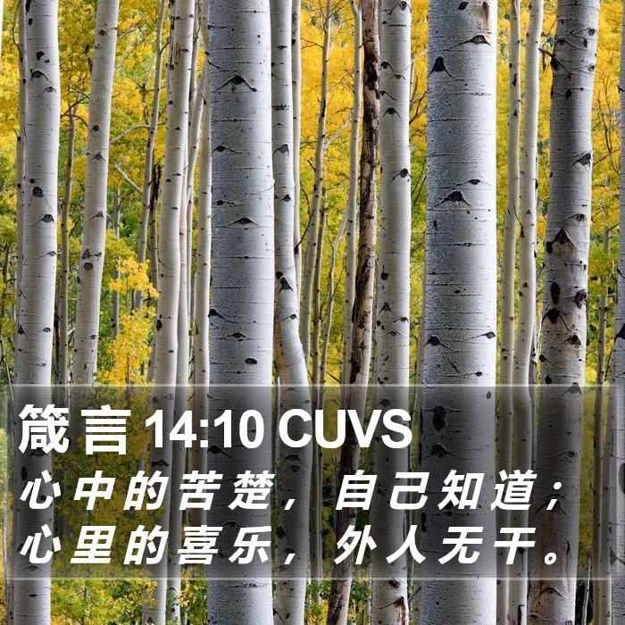 箴 言 14:10 CUVS Bible Study
