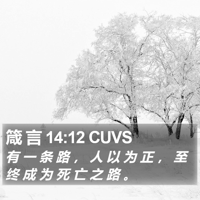 箴 言 14:12 CUVS Bible Study