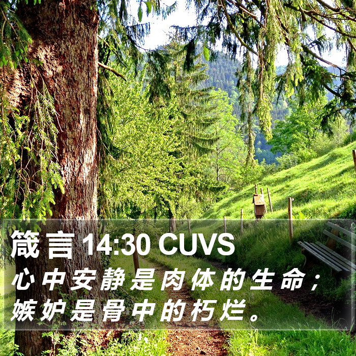 箴 言 14:30 CUVS Bible Study