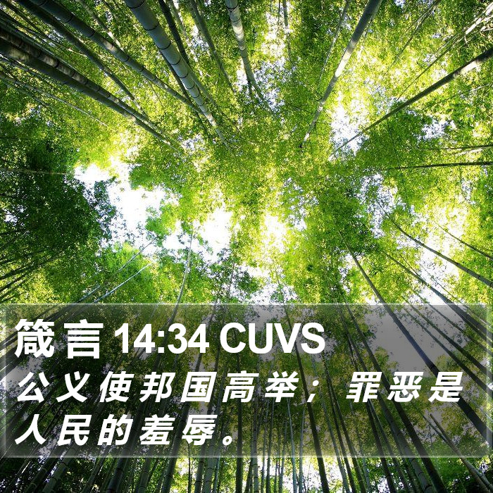 箴 言 14:34 CUVS Bible Study