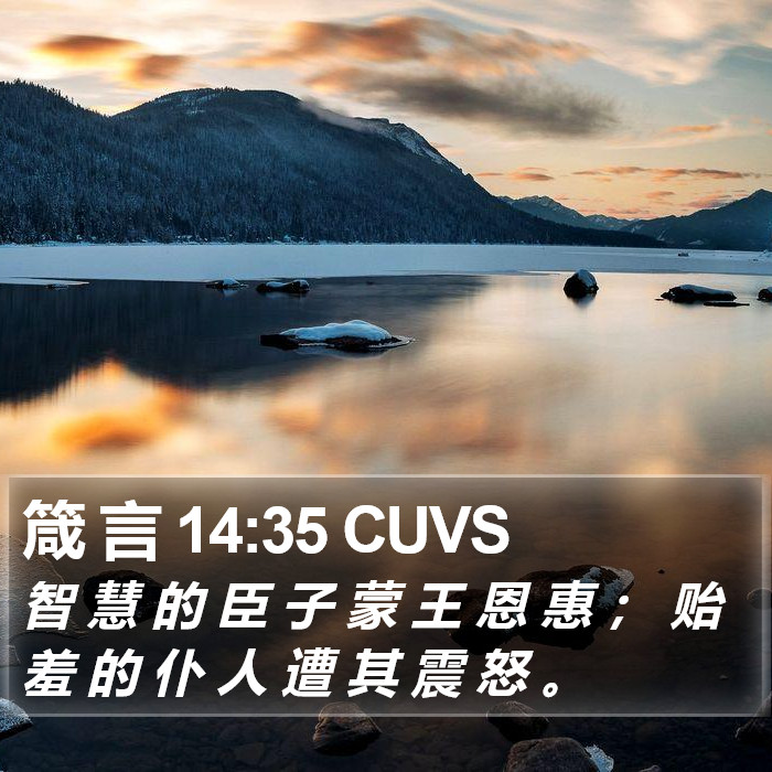 箴 言 14:35 CUVS Bible Study