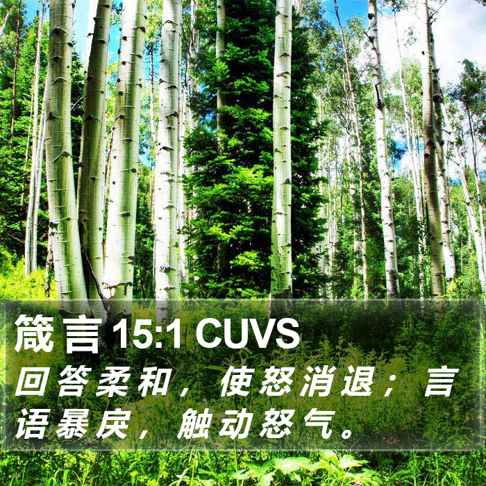 箴 言 15:1 CUVS Bible Study