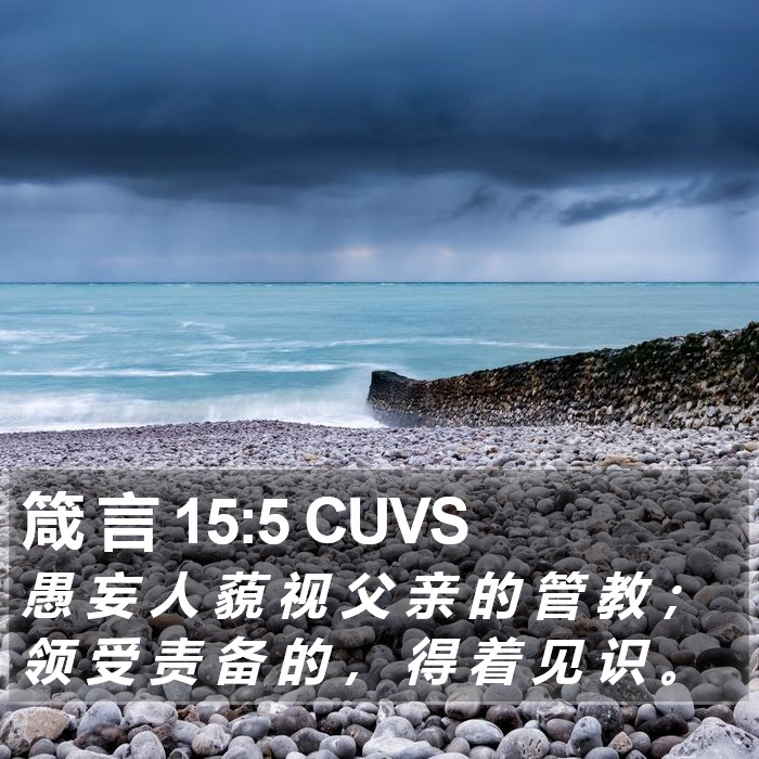 箴 言 15:5 CUVS Bible Study