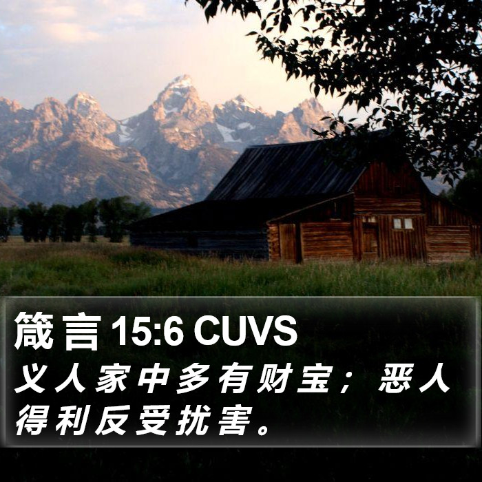 箴 言 15:6 CUVS Bible Study