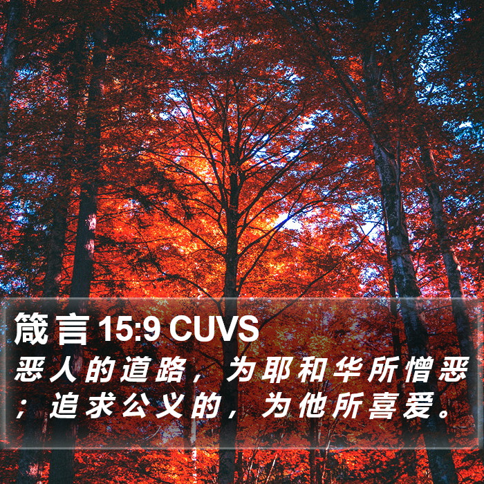 箴 言 15:9 CUVS Bible Study