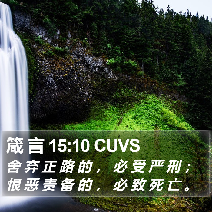 箴 言 15:10 CUVS Bible Study