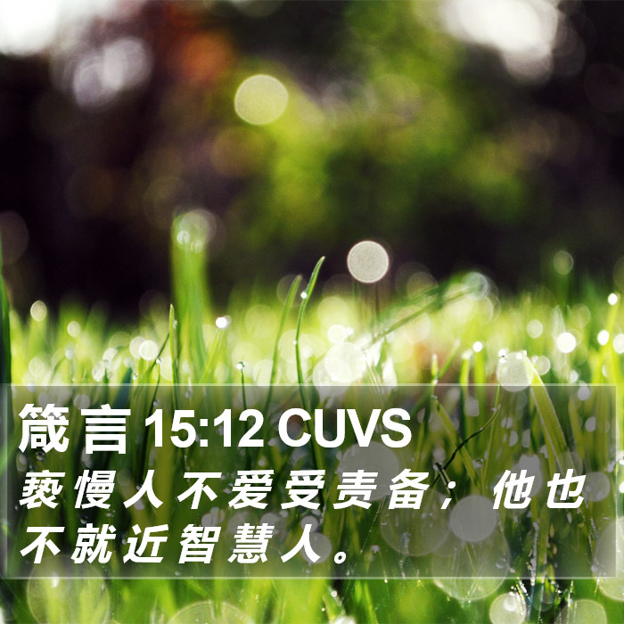 箴 言 15:12 CUVS Bible Study