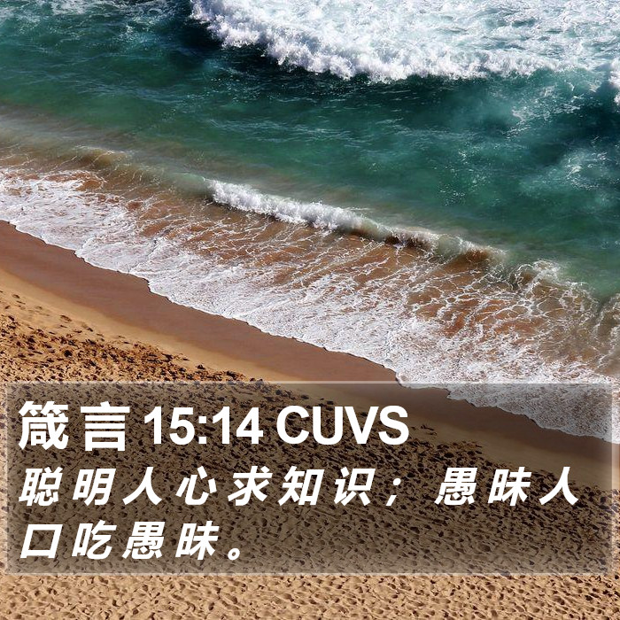 箴 言 15:14 CUVS Bible Study