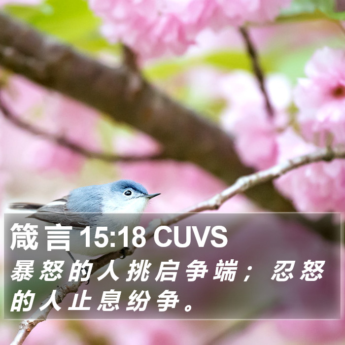 箴 言 15:18 CUVS Bible Study