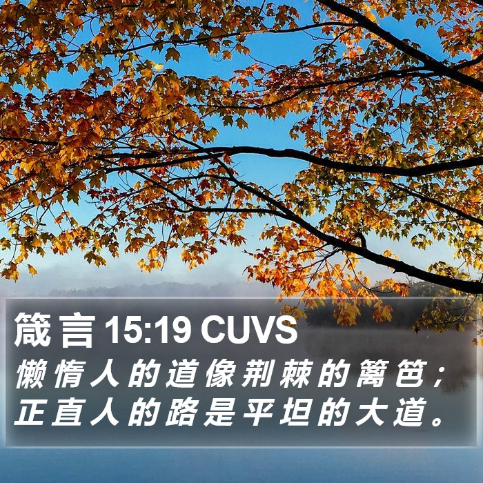 箴 言 15:19 CUVS Bible Study