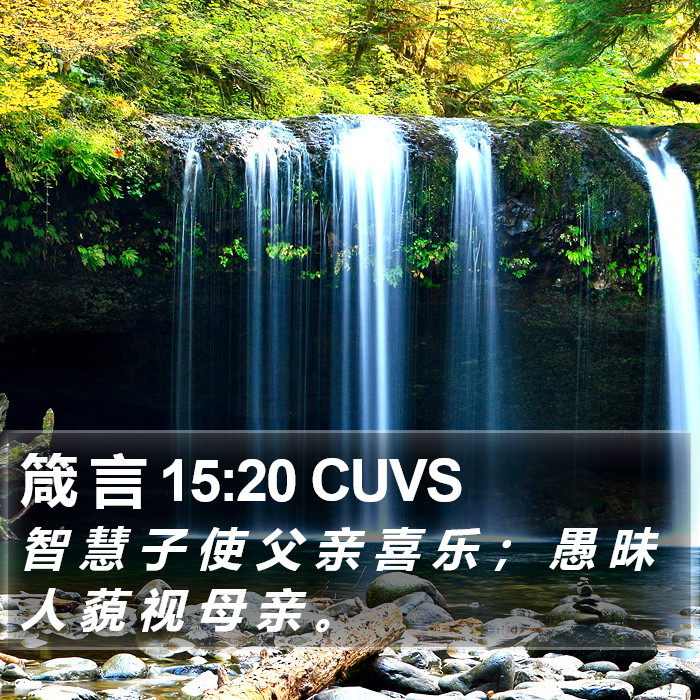 箴 言 15:20 CUVS Bible Study