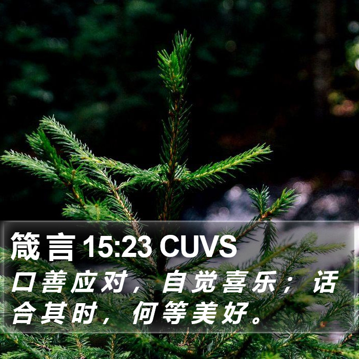 箴 言 15:23 CUVS Bible Study