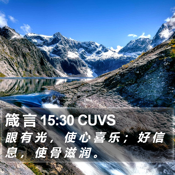 箴 言 15:30 CUVS Bible Study