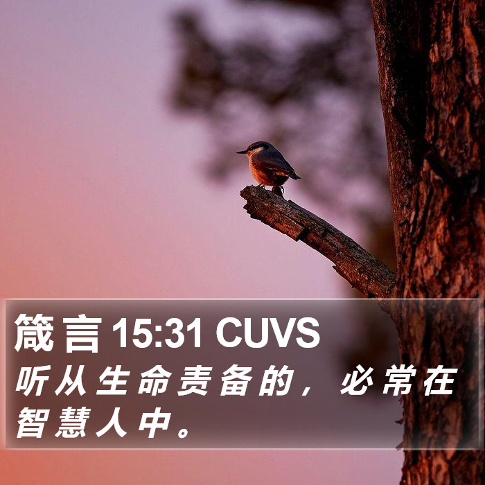 箴 言 15:31 CUVS Bible Study