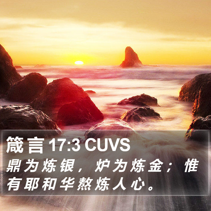 箴 言 17:3 CUVS Bible Study