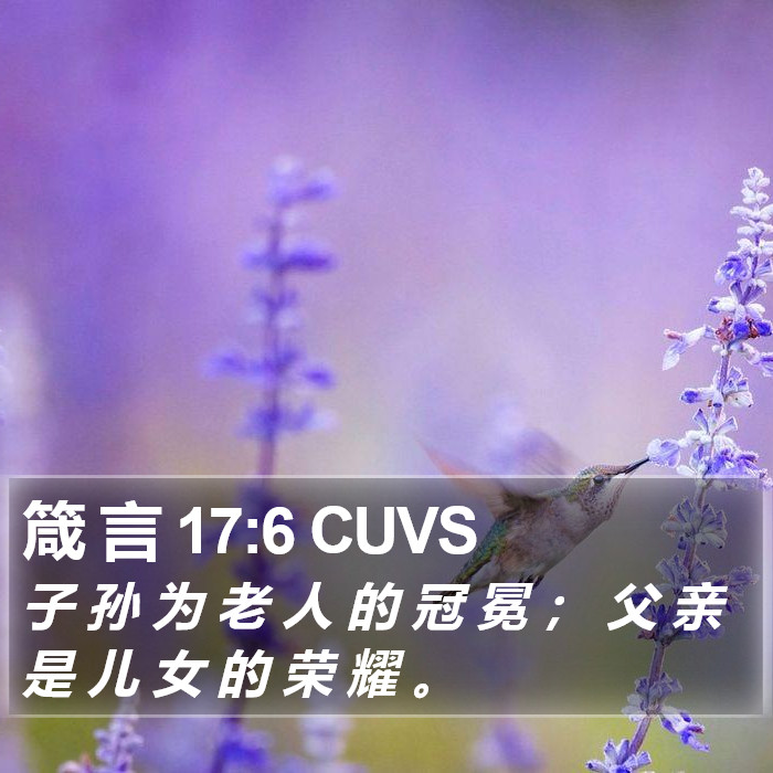 箴 言 17:6 CUVS Bible Study