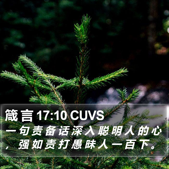 箴 言 17:10 CUVS Bible Study