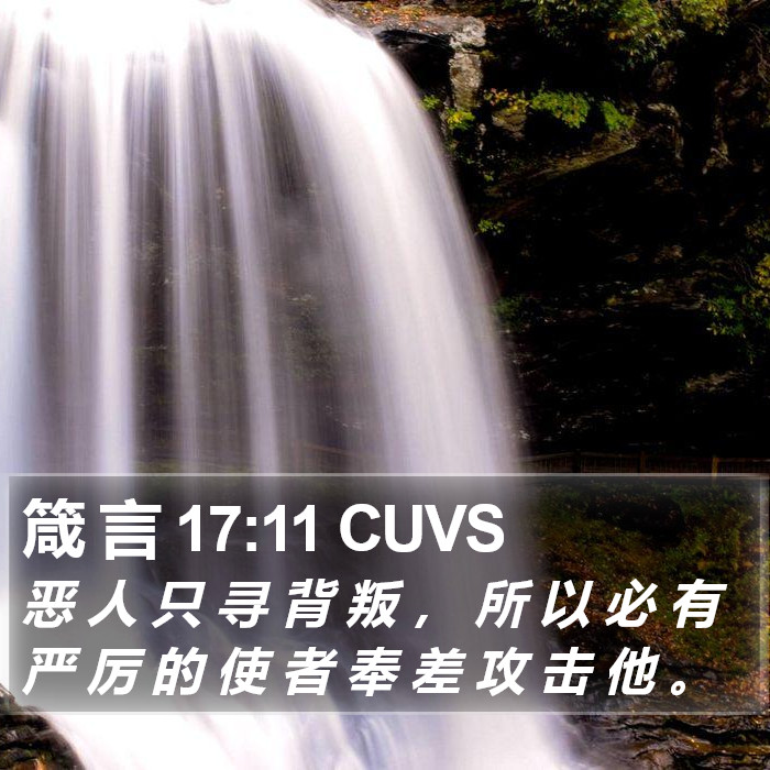 箴 言 17:11 CUVS Bible Study