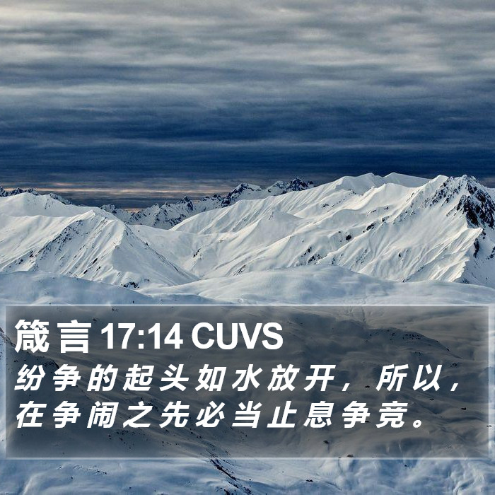 箴 言 17:14 CUVS Bible Study