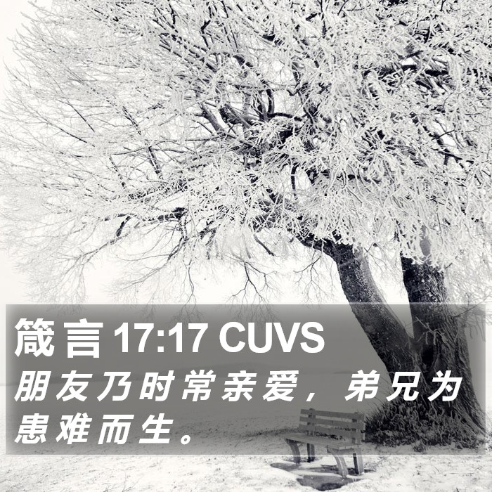 箴 言 17:17 CUVS Bible Study