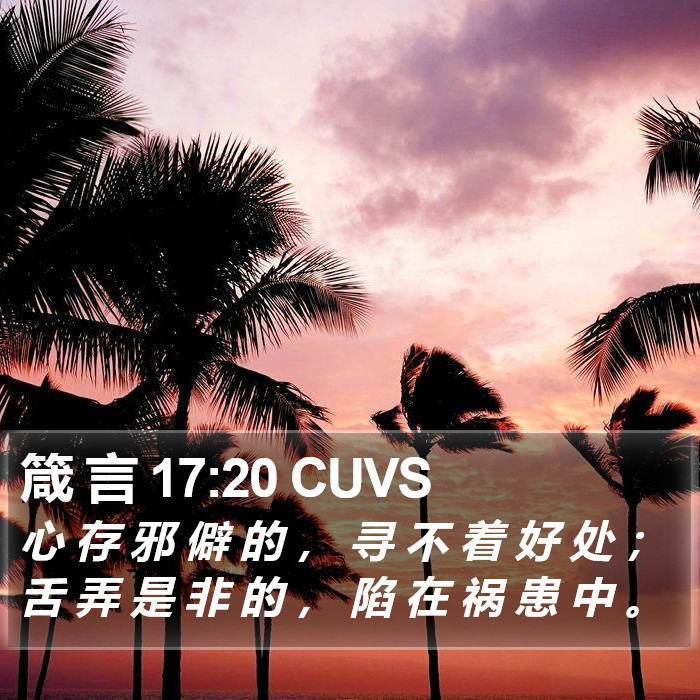 箴 言 17:20 CUVS Bible Study