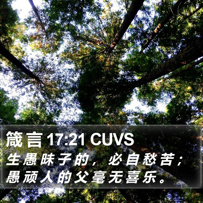 箴 言 17:21 CUVS Bible Study