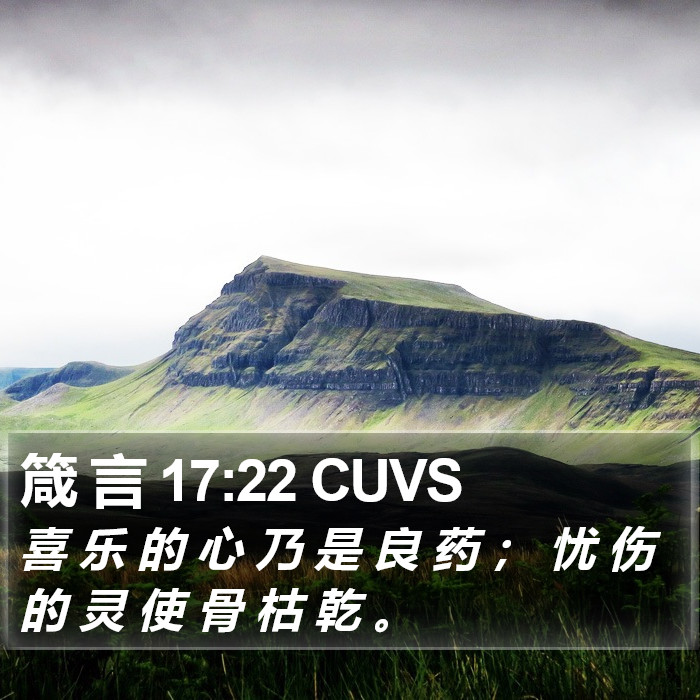 箴 言 17:22 CUVS Bible Study