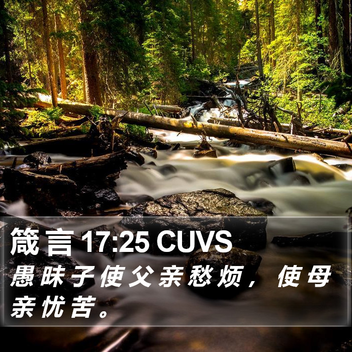 箴 言 17:25 CUVS Bible Study