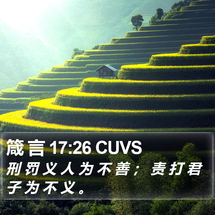 箴 言 17:26 CUVS Bible Study