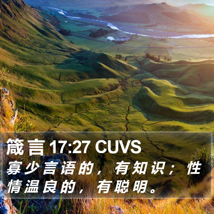 箴 言 17:27 CUVS Bible Study