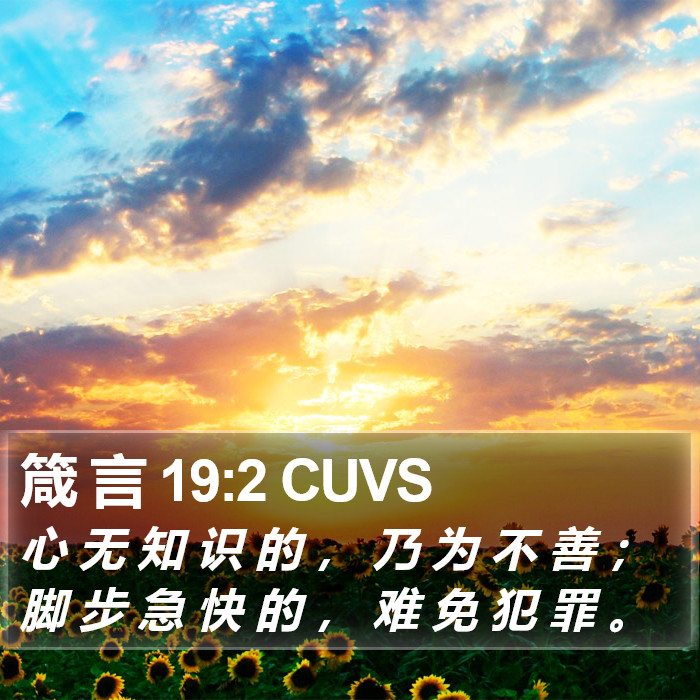 箴 言 19:2 CUVS Bible Study
