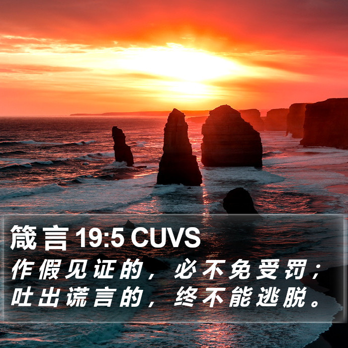 箴 言 19:5 CUVS Bible Study