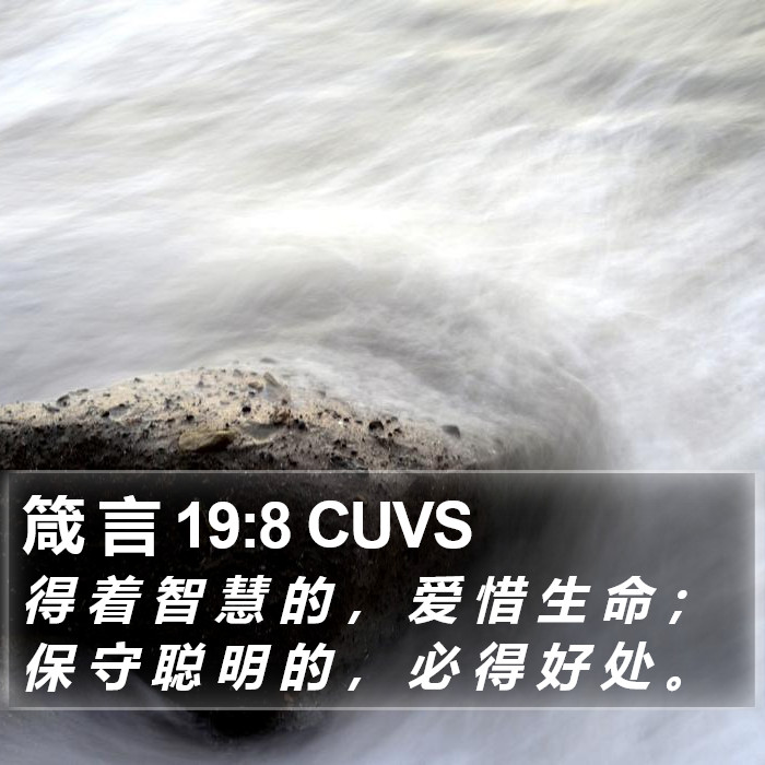 箴 言 19:8 CUVS Bible Study